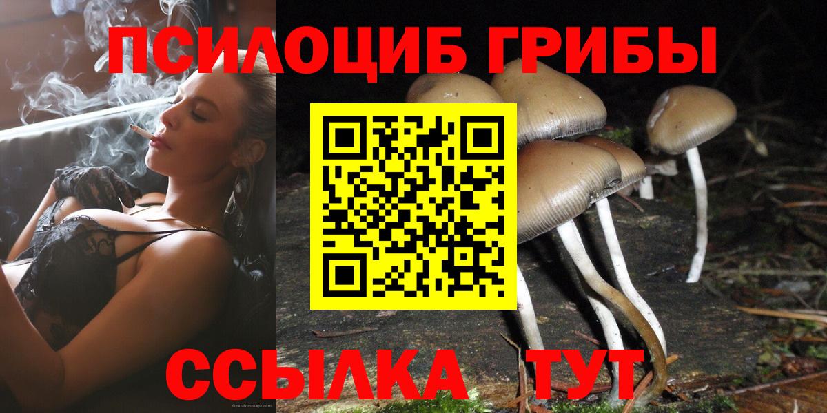 Галлюциногенные грибы Psilocybe Когалым